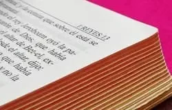 reyes-de-israel-tienda